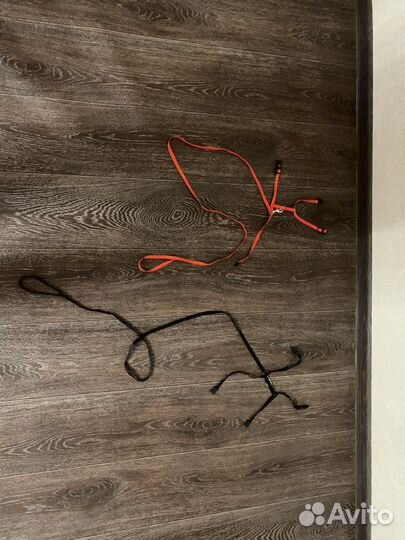 Поводок для котенка или для кошки и хорька