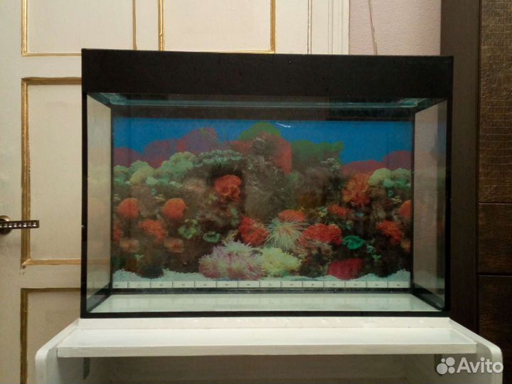 Аквариум