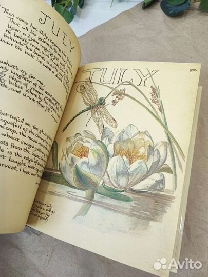 Книга на английском Дневник эдвардианской леди