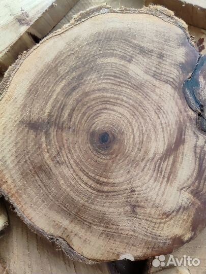 Подставка под горячее из можжевельника