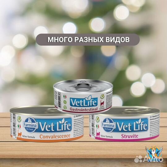 Влажный корм Farmina Vet Life