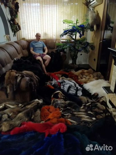 Мех Лиса крашеная