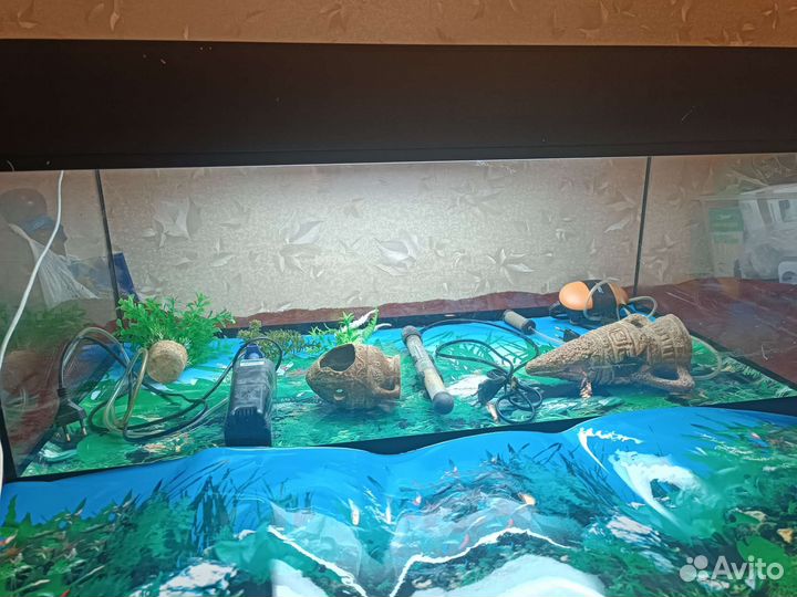 Аквариум на 120 литров