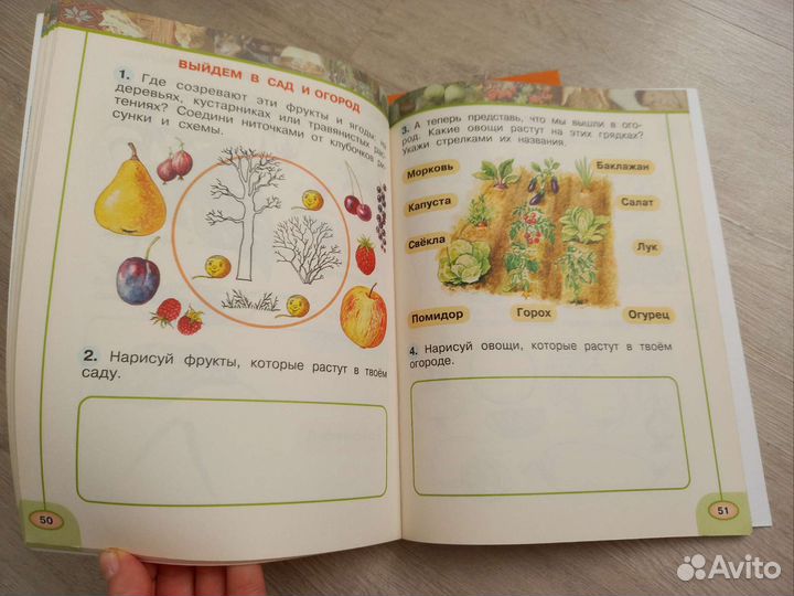 Окружающий мир 1 класс Перспектива