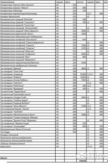 Ассортимент Туй и можжевельников