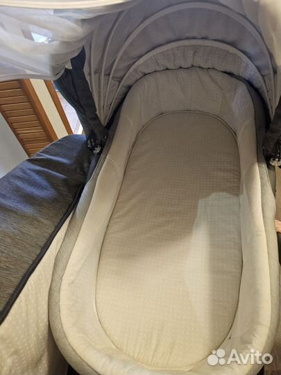 Коляска аdamex