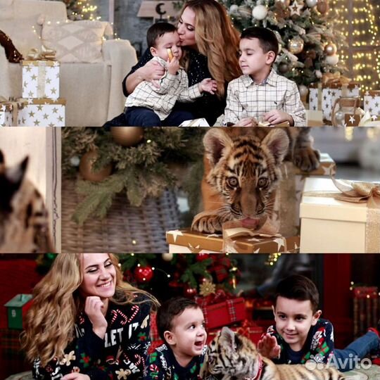 Видеограф/Видеосъёмка/Видеооператор/Фотограф