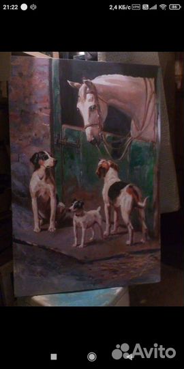 Портрет питомца