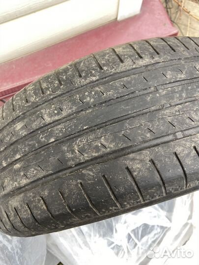 Летняя резина р16 205 55