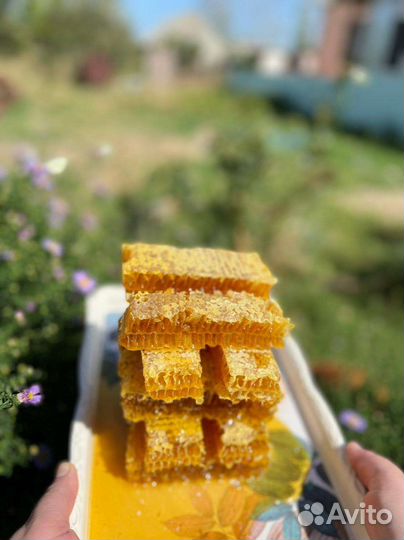 Мед в сотах