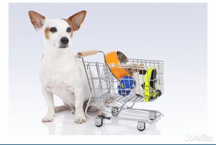 Товары для животных
