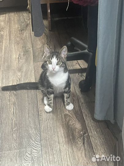 Элегантный мужчина