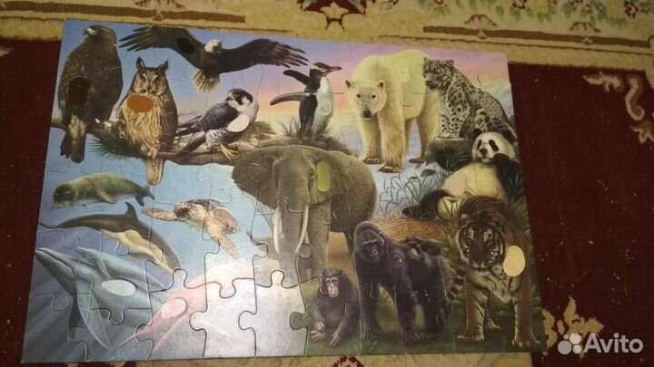 Пазлы напольные и настольные