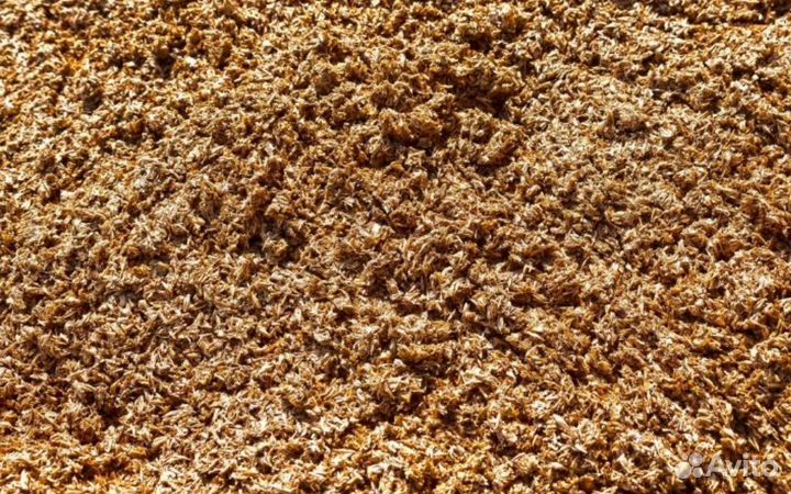 Пивная дробина