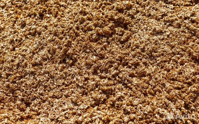 Пивная дробина