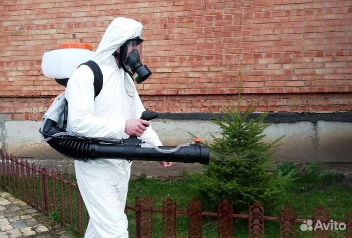 Уничтожение клопов тараканов грызунов плесени