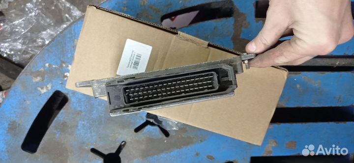 Эбу январь 5 1