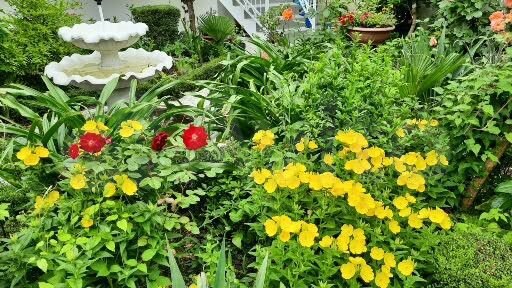 Комната 20 м², 2/3 эт.