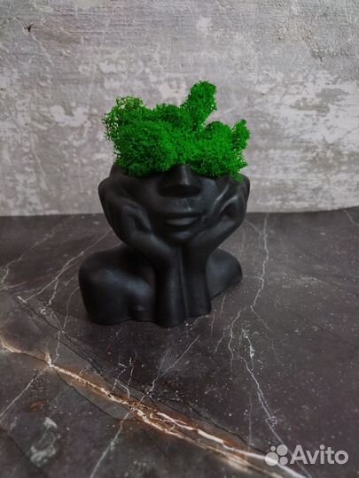 Кашпо со стабилизированным мхом