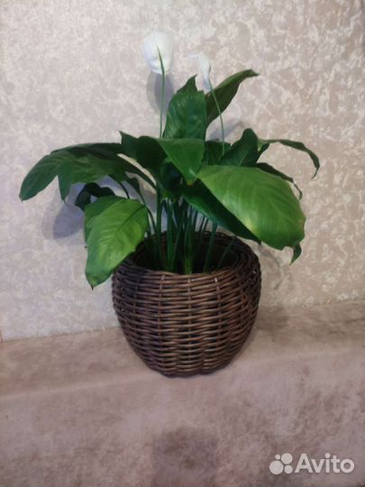 Кашпо из искусственного ротанга 4,5 литра