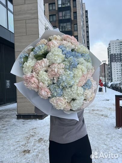 Гортензия 39 шт букет гигант