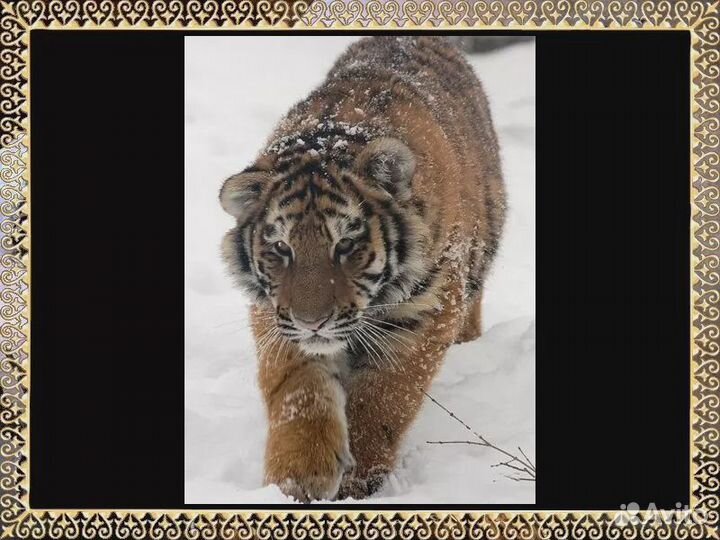 Игры пк Кроссворды. Эрудит. Судоку