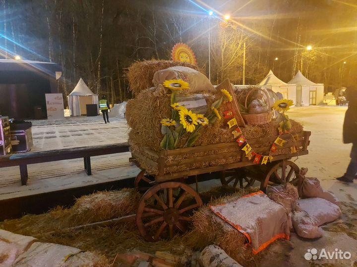 Аренда старинной русской телеги (повозки) №3