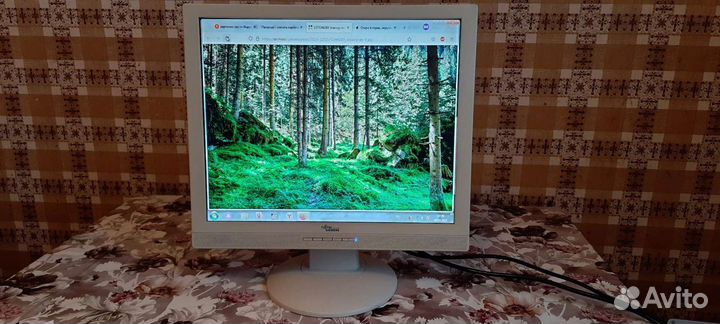 Монитор для компьютера Fujitsu Siemens (19