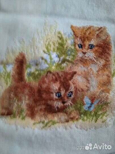Котята вышивка крестиком
