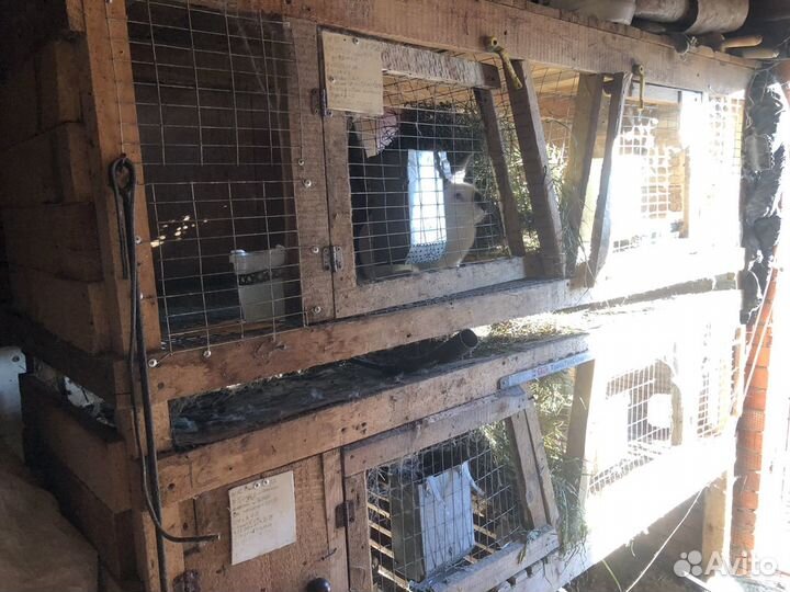 Клетка для кролика