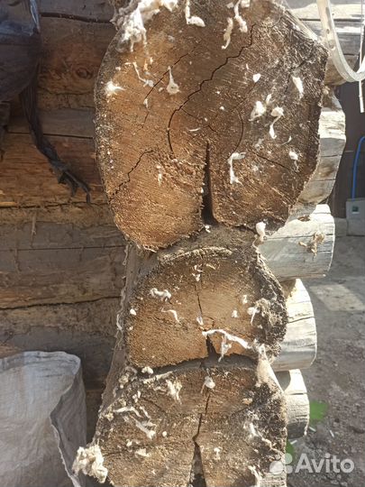 Сруб бани бу