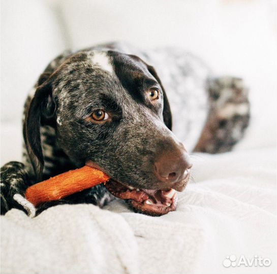 Игрушка Petstages Mesquite Dogwood для собак