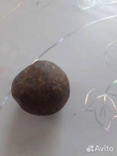 Прополис пчелиный