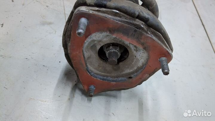 Амортизатор подвески Infiniti Q50, 2015