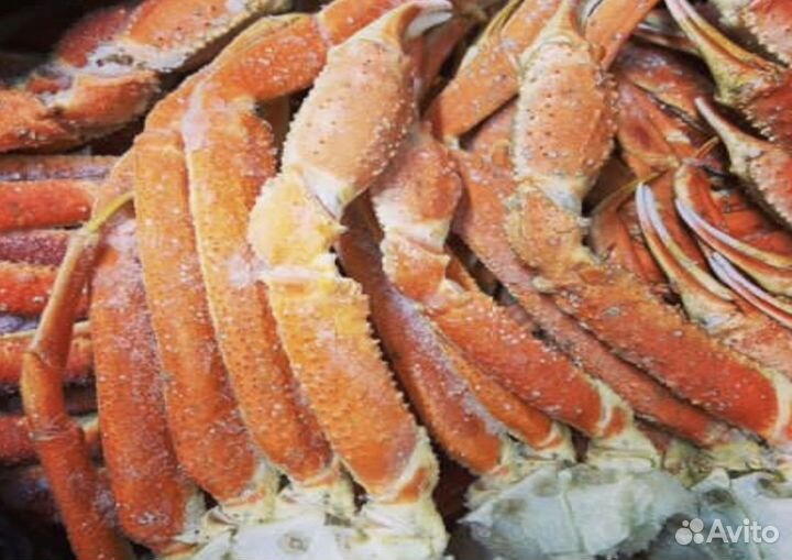 Конечности стригуна оптом