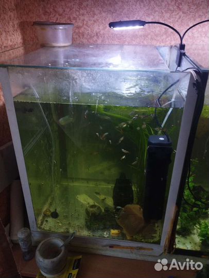 Аквариум 140 и 180 л / рыбки