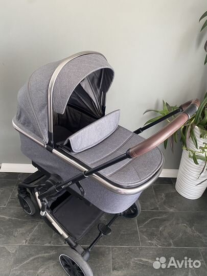 Коляска 2 в 1 rant