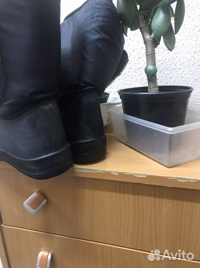 Резиновые сапоги