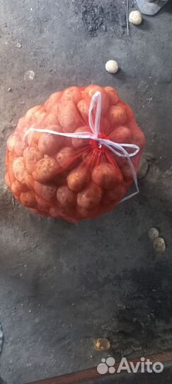 Продам картофель сорт 