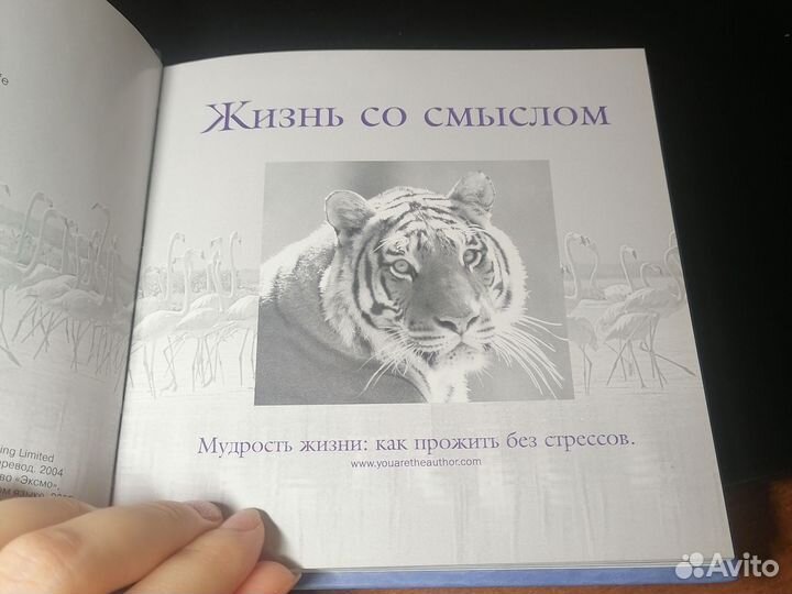 Книга на подарок