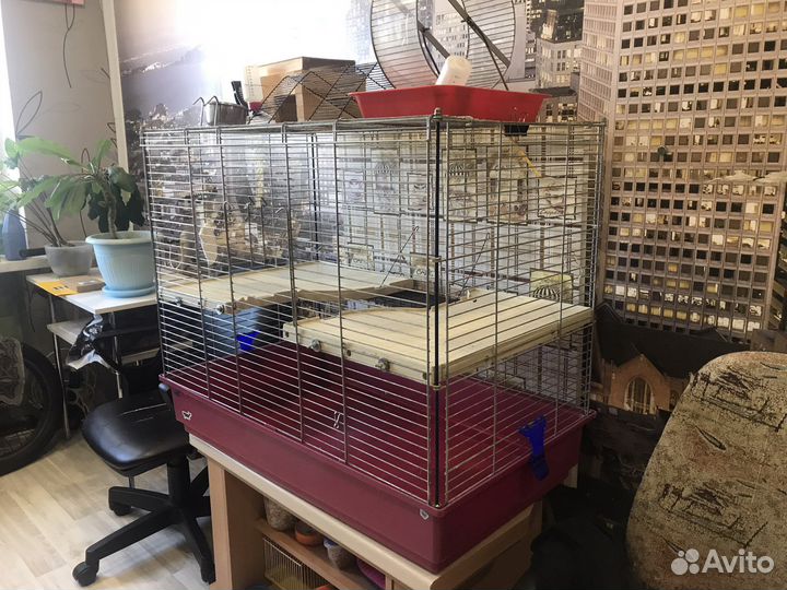 Клетка для грызунов