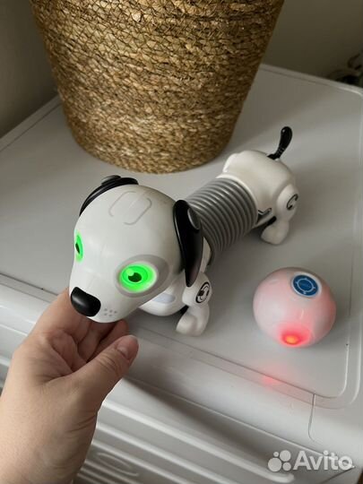 Робот Собака Ycoo Дэкел Джуниор