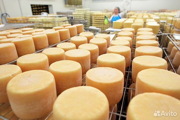 Вахта Москва Грузчик на сыродельное производство