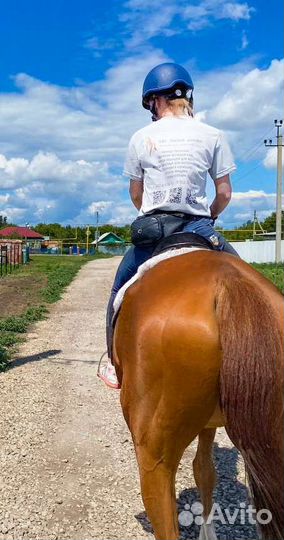 Конные прогулки на лошадях и пони