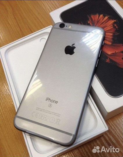 iPhone 6