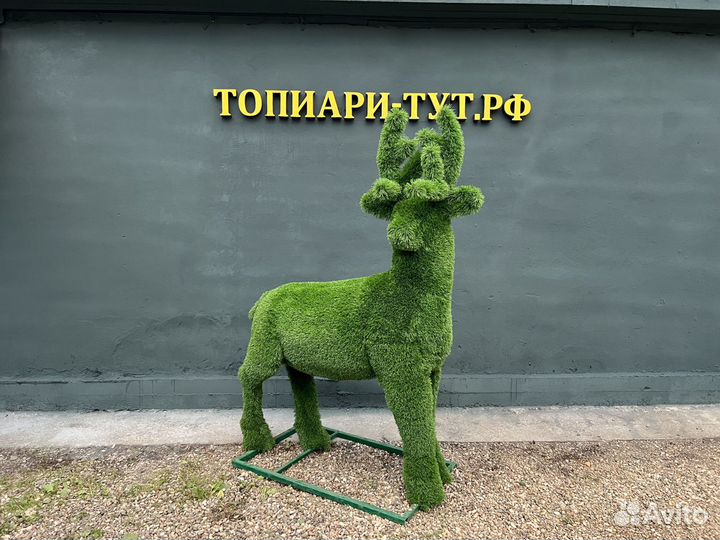 Топиари Топиарные фигуры Садовые фигуры