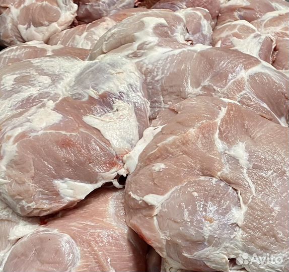 Мясо свинина