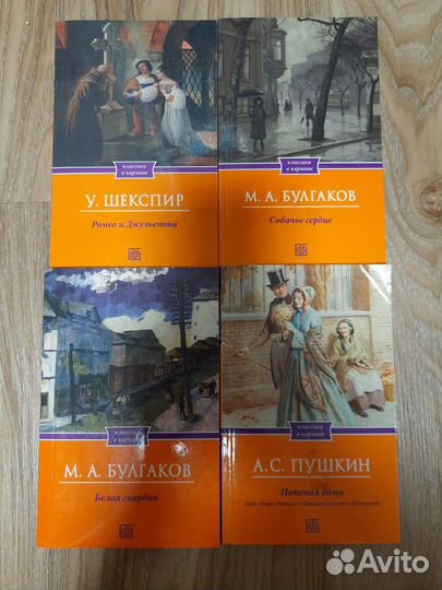 Классика и современная литература в мини формате