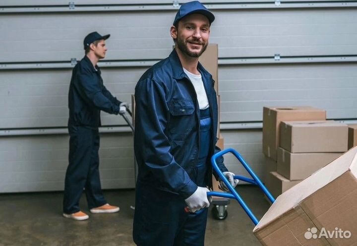 Грузчик на склад техники Дайсон