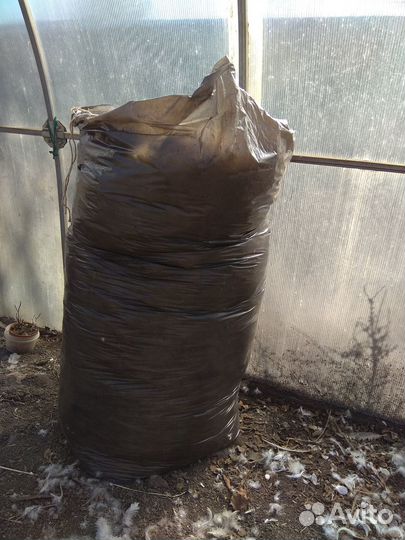 Гусиное перо